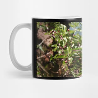 Flor Mug